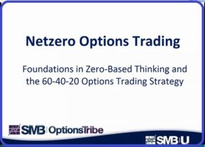 SMB – Netzero Options Online Course Drive Link