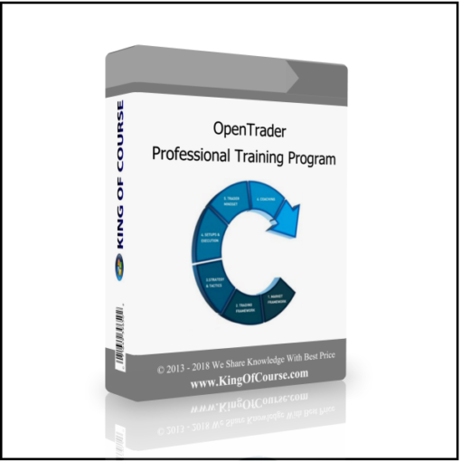 OpenTrader – Professional Training Program
