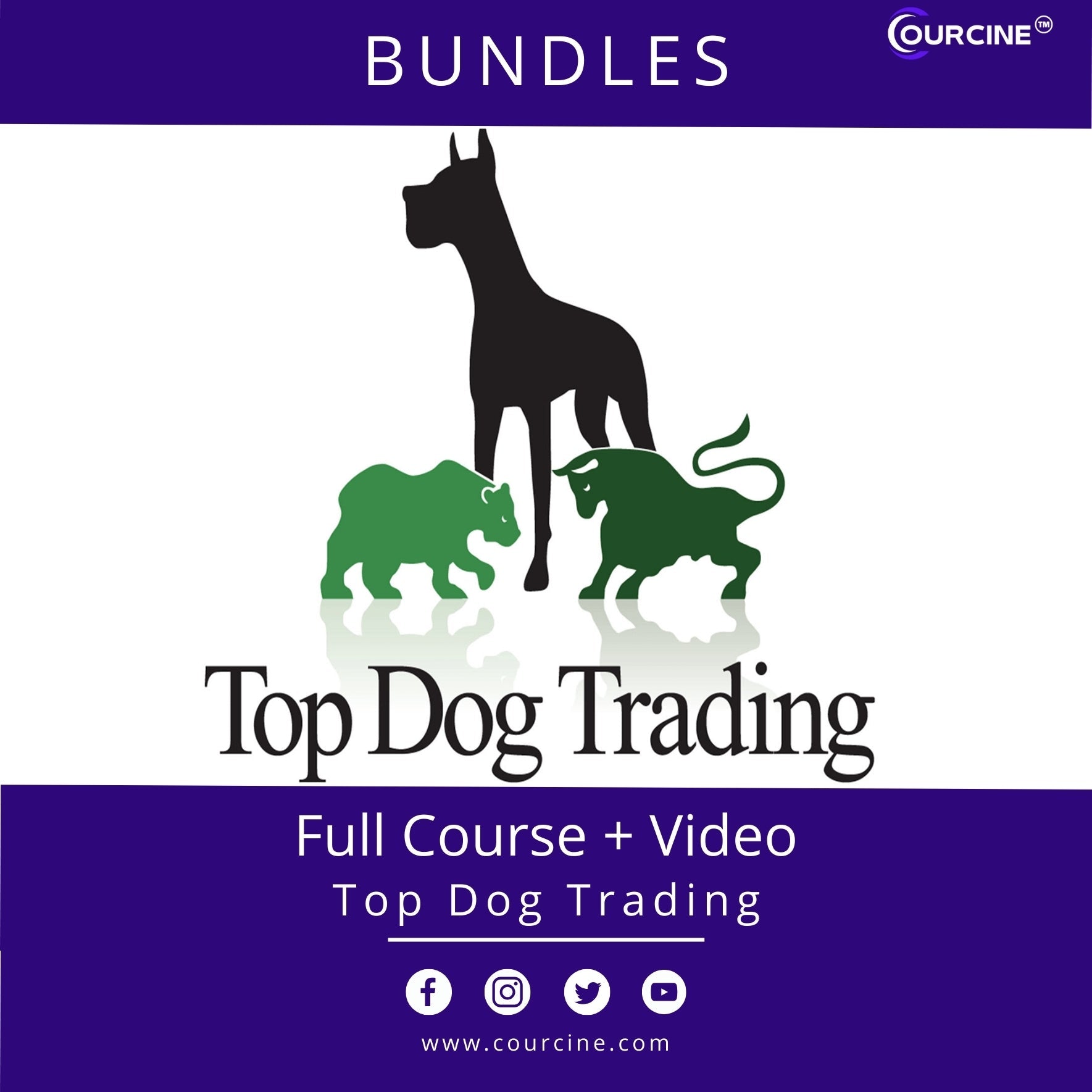 top dog trading course free download